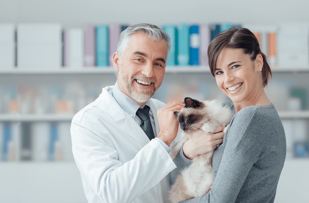 CAT CARE – Pond Mills Animal Hospital London, Ontario